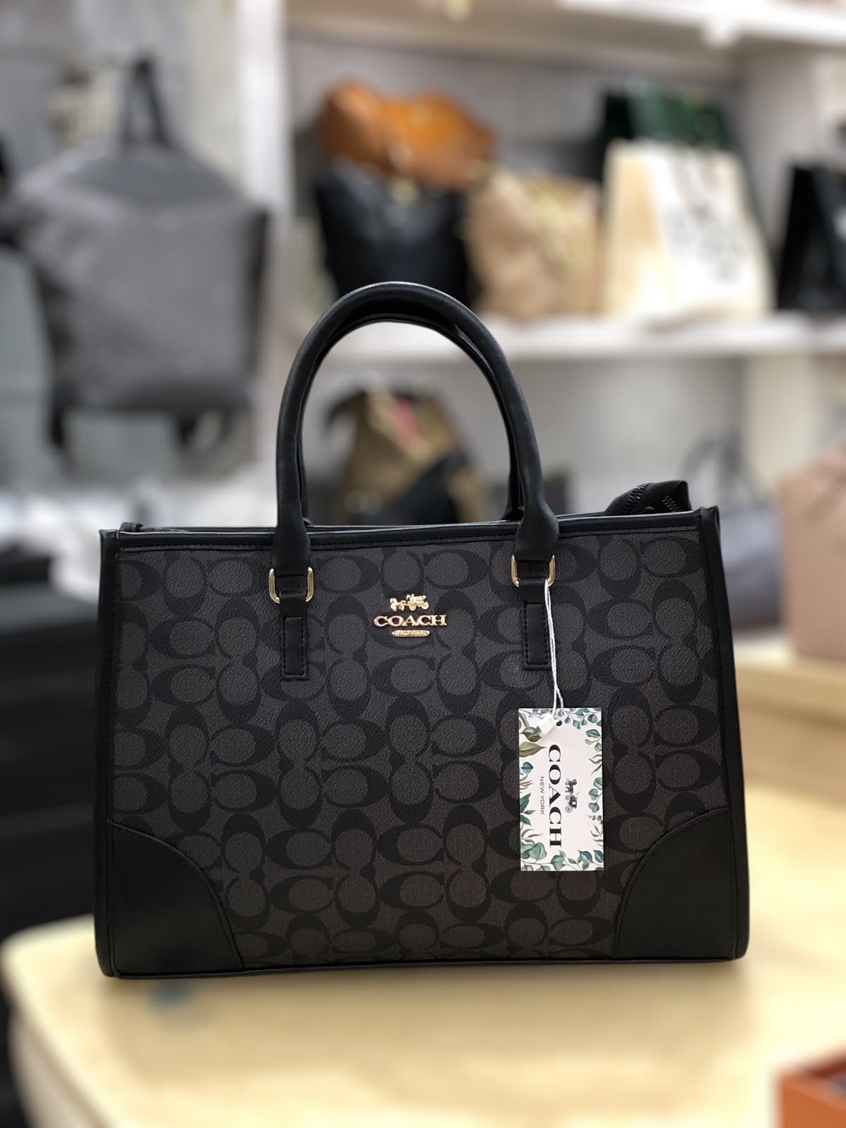 Trendora Hub Coach Signature Print Tote Bag for Women _ Random Colour