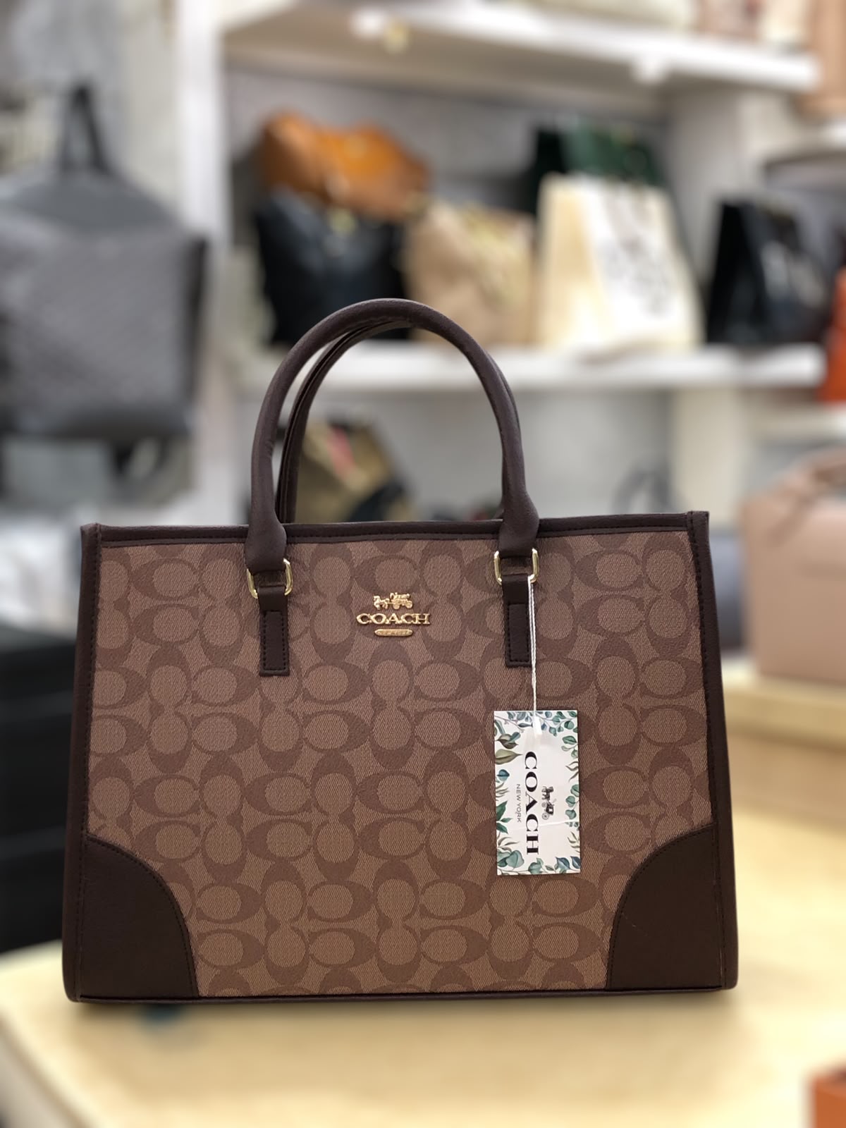 Trendora Hub Coach Signature Print Tote Bag for Women _ Random Colour