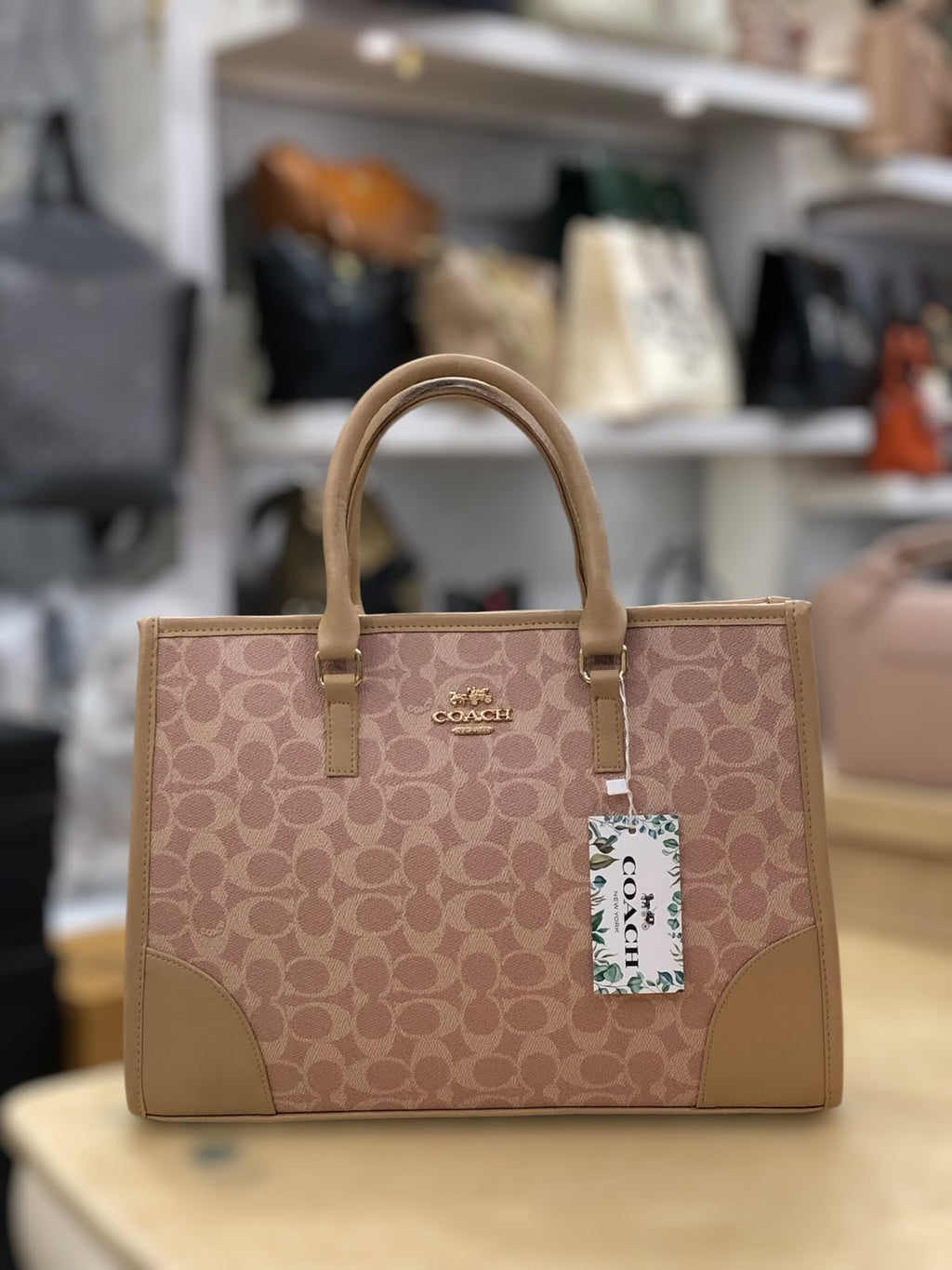 Trendora Hub Coach Signature Print Tote Bag for Women _ Random Colour