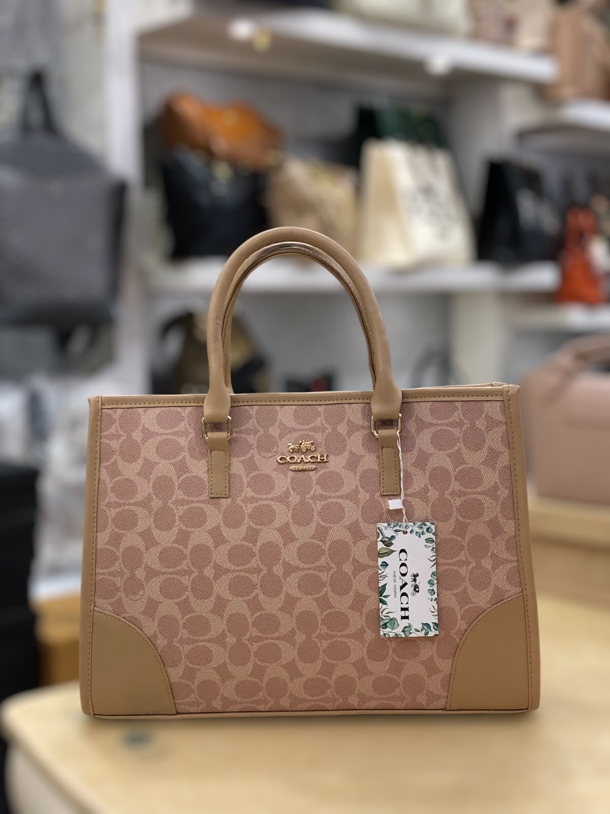 Trendora Hub Coach Signature Print Tote Bag for Women _ Random Colour